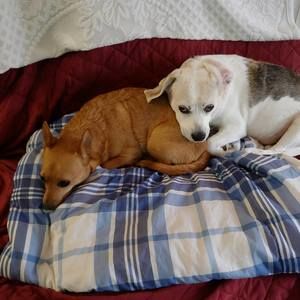 Meet your Posher, Tammy r h